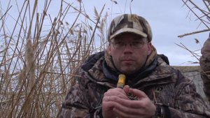 Манок на серого гуся