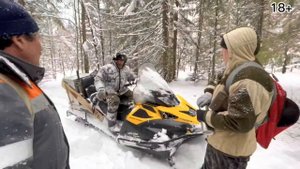 Загонная охота на Волков. День первый - делаем оклад.