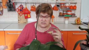 Как Заставить Орхидею Цвести.