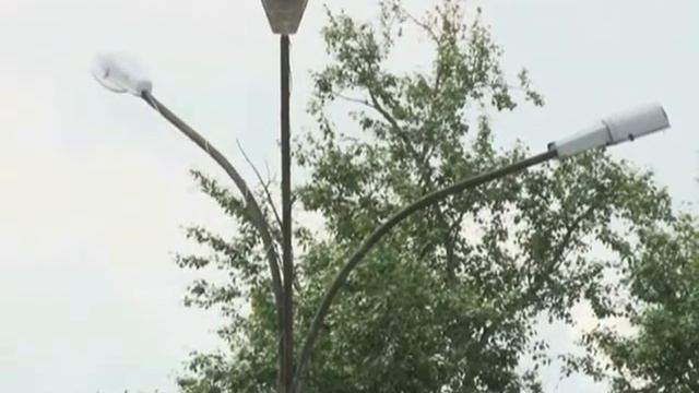 Порядок получения сведений из ЕГРН смотреть онлайн