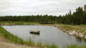 Хакикат ва Ёлгон хикоя ривоят