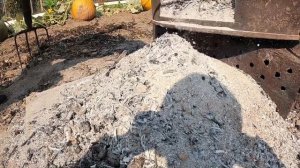 Запекаем картошку в углях (в золе) без фольги.