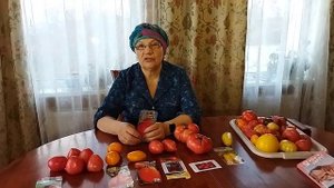НУЖНЫ ЛИ "ЗИМНИЕ" ТОМАТЫ?ЕСТЬ ОЧЕНЬ КЛАССНЫЕ ЛЕЖКИЕ ТОМАТЫ!
