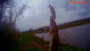 ОПАСНАЯ РЫБАЛКА. Весенняя щука на спиннинг перед грозой. Воблер Yo-Zuri 3D Inshore Minnow 90 F.