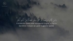 QUR'AN - Красивый Чтение (АБДУРАХМАН)