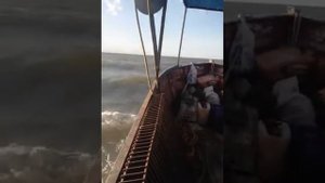 Ловля рапана.