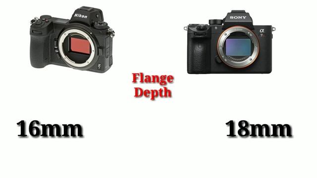 Nikon Z7 vs Sony A7R !!! Full Comparison! смотреть онлайн
