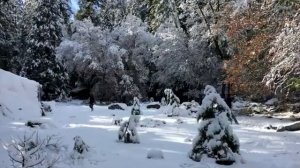 Приметы на 11 февраля. Народный праздник "ЛАВРЕНТЬЕВ ДЕНЬ", что нельзя делать, традиции и обряды