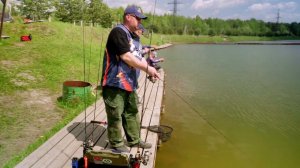 DAYSPROUT Pico ChatteCra MD F