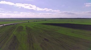 Дубравушка