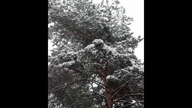 Вспоминаем слово ЗИМА... смотреть онлайн