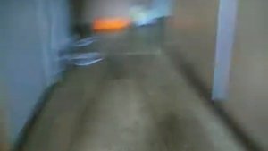 коты под валерьянкой - финал