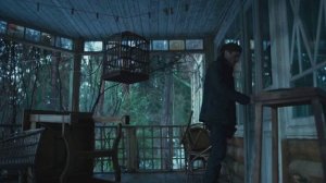 Пикавая дама