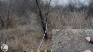 Как происходит поклевка на фидер. Модулируем поклевку.