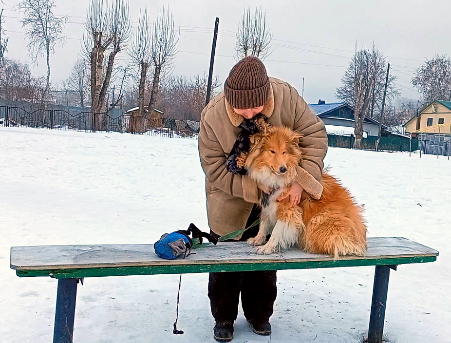 Социализация собаки