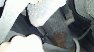 Год спустя после обработки пушсалом. Не обрабатывай пока не посмотрел.