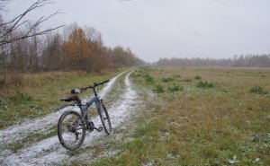 "ПРОШЛО ЕЩЁ 4 МЕСЯЦА"... (Фото Владимира Мастера (Вел. Новгород), музыка Астора Пьяццолы)