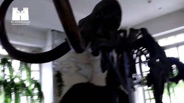 Музейный карантин: скелет мамонта