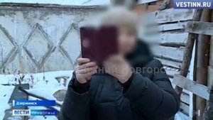 КОНЦЛАГЕРЬ ДЛЯ ЛОШАДЕЙ | КОНЮШНЯ ЛЕСНЫЕ ЗОРИ В ДЗЕРЖИНСКЕ | ВСЕ НОВОСТИ