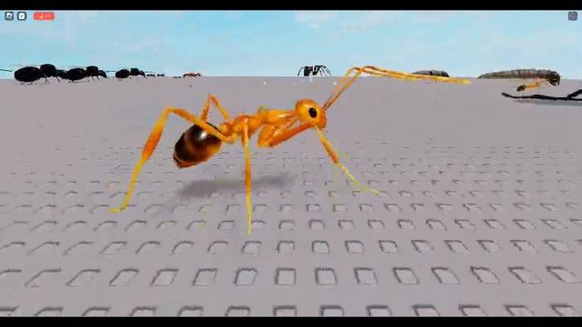 roblox ant life v3 models смотреть онлайн