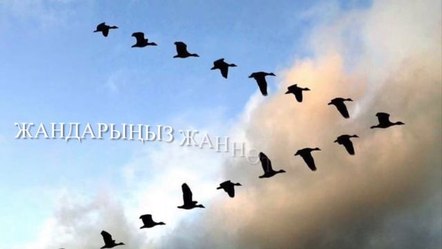 Өмір, шіркін-ай. 18-бөлім. Марат Алимжанов. Қорғалжын.