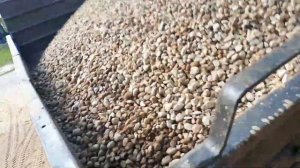 Газель самосвал доставка 2 куба гравия.