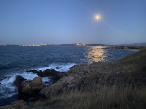 Болгария. Червенка - вилна (дачная зона) города Черноморец...