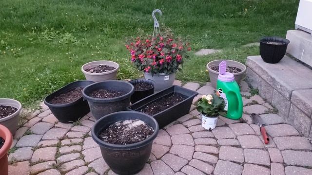 SPRING GARDEN CANADA 2021/ BEAUTIFUL FLOWER GARDEN / ZONE 5B GARDENING