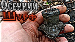 #ОСЕННИЙ ШУРФ#ПРИМОРСКИЙ КРАЙ#