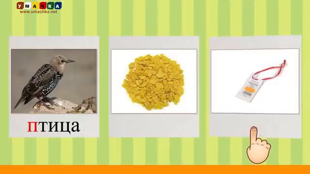 Алфавит Читать Учим с Кругляшиком Буквы и Звуки - Буква X смотреть онлайн