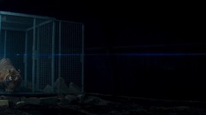 НОВЫЙ РОМАНТИК-СПОКОЙНАЯ НОЧЬ (2024,SoundTrack Mandy)