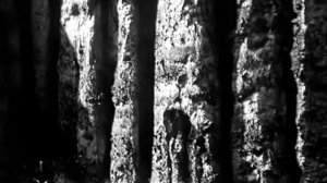 Важа Пшавела Мольба