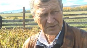 Коренное улучшение пастбищ и сенокосов 20.09.18