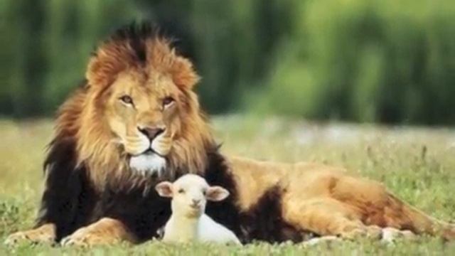 ЧУЖИХ ДЕТЕЙ НЕ БЫВАЕТ смотреть онлайн