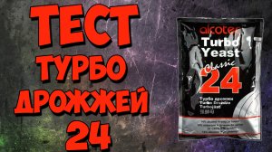 Тест турбо дрожжей 24 часа. Самые быстрые дрожжи