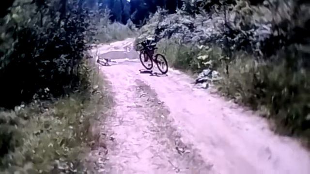 Земляника в лесу. смотреть онлайн