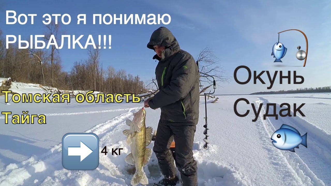 Обь.  Зимняя рыбалка  на крупного окуня и судака  в Томской области | Парабель | Зима 2016 г.