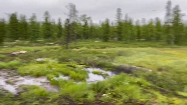 CFMOTO zforce 1000 sport EPS и BRP не фартануло смотреть онлайн