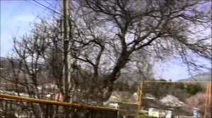 Щебетовка. Крым .Блюзовый весенний экскурс со слайдами.