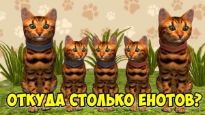 Симулятор КОТА и КОШКИРыжие котики cat sim (кат сим)