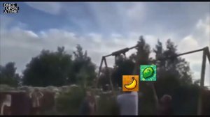 леди баг сиреноголовая