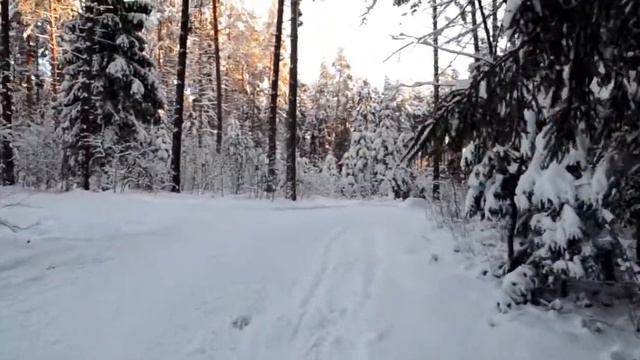 Первый выезд на лыжах 11 декабря 2021 года смотреть онлайн