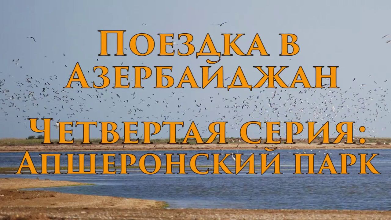 Поездка в Азербайджан. Четвертая серия: Апшеронский национальный парк. Маленькая Венеция