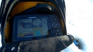 Garmin Striker Plus 5CV + GT8HW IF Зимняя ловля окуня на мормышку