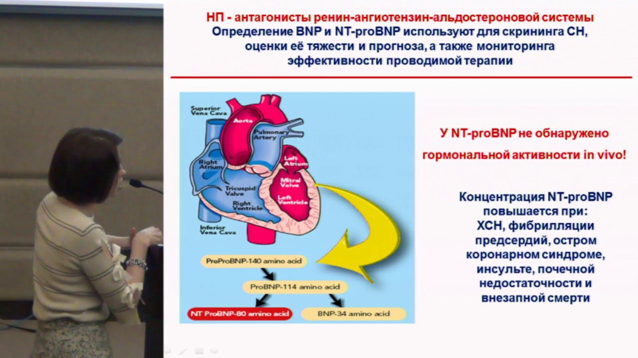 Панафидина Т.А., Хроническая сердечная недостаточность при системной красной волчанке: факторы ..