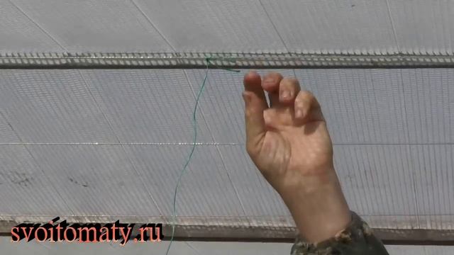 Как быстро и надежно подвязать томаты или огурцы смотреть онлайн