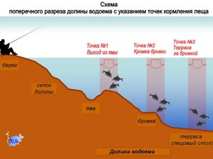 ЛЕЩ ЗАШЁЛ . НАЧАЛАСЬ ЖАТВА . Ловля леща с берега на донки в мае .