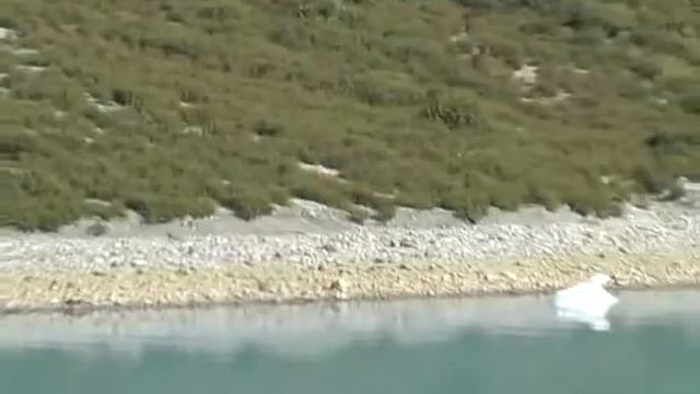 Дунё бу́йлаб арзон ва манзарали Круиз саёхатиларни Muzafar Kasim такдим этади +998909104410