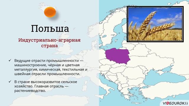 Страны восточной европы во второй половине