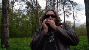 Кантри - блюз ритм #27 на губной гармошке С + табы